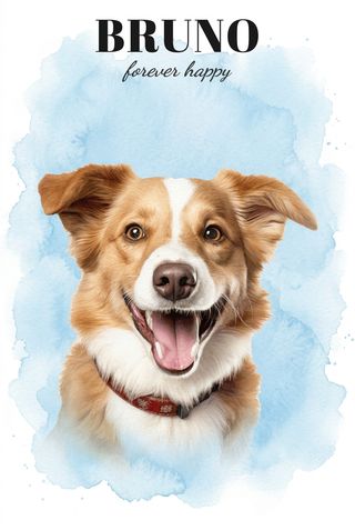 Bruno — forever happy