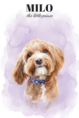 Milo — the little prince