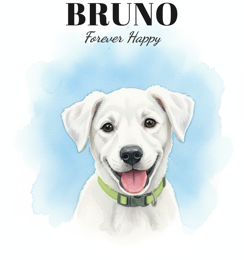 Bruno — watercolor portrait